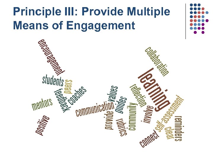 Principle III: Provide Multiple Means of Engagement 