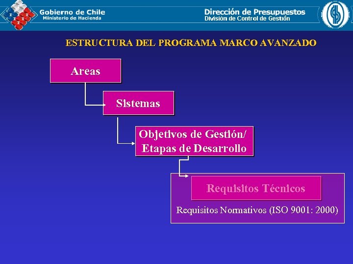ESTRUCTURA DEL PROGRAMA MARCO AVANZADO Areas Sistemas Objetivos de Gestión/ Etapas de Desarrollo Requisitos