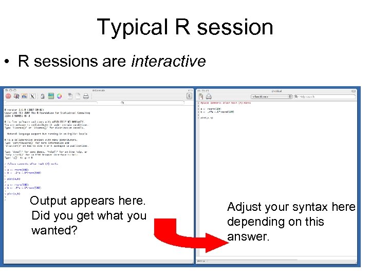 Typical R session • R sessions are interactive Output appears here. Did you get