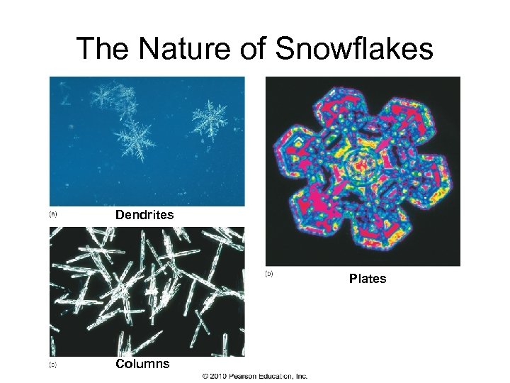 The Nature of Snowflakes Dendrites Plates Columns 