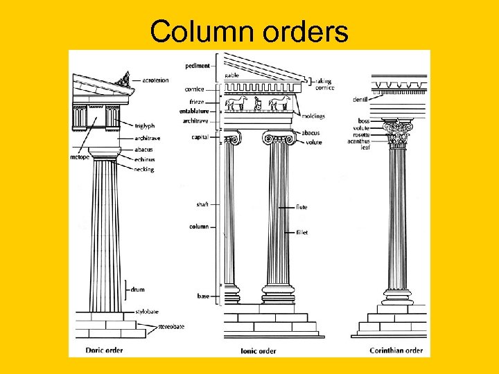 Column orders 