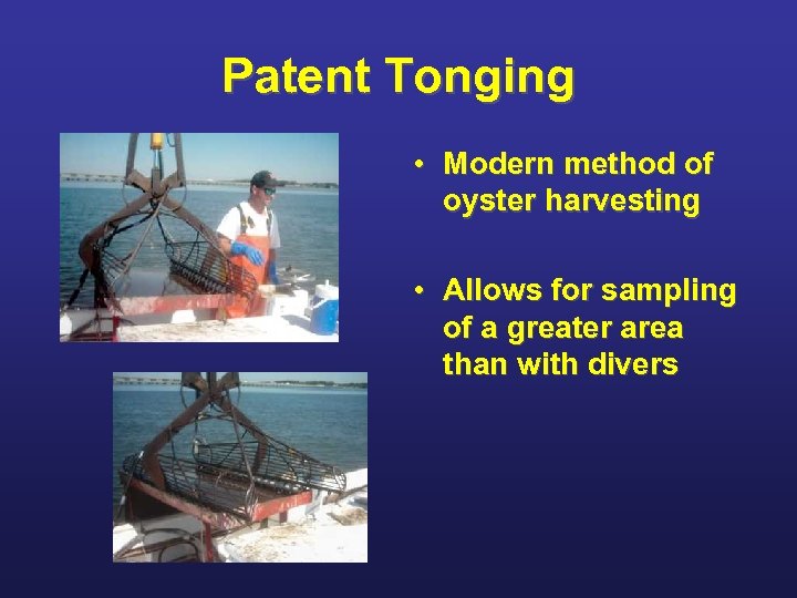 Patent Tonging • Modern method of oyster harvesting • Allows for sampling of a