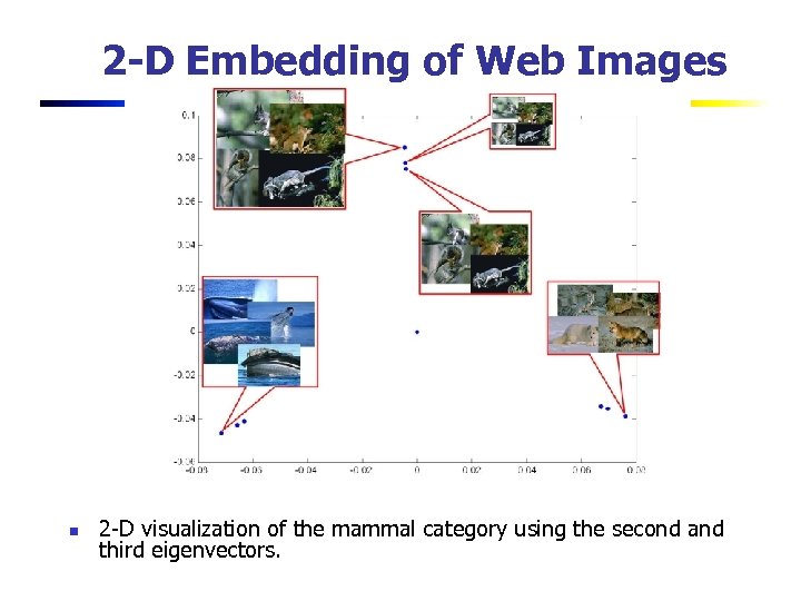 2 -D Embedding of Web Images n 2 -D visualization of the mammal category