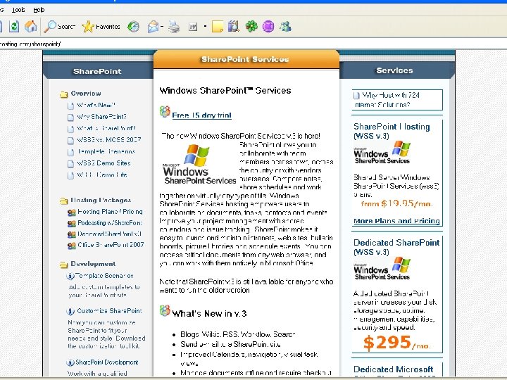 Information Software Systems 