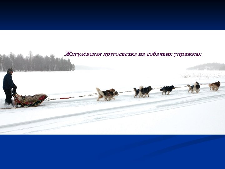 Жигулёвская кругосветка на собачьих упряжках 