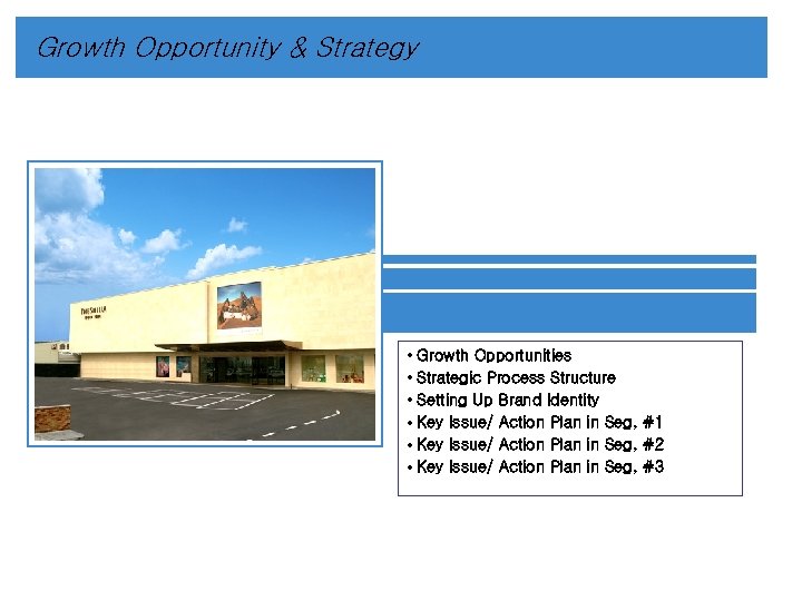 Growth Opportunity & Strategy • • • Growth Opportunities Strategic Process Structure Setting Up