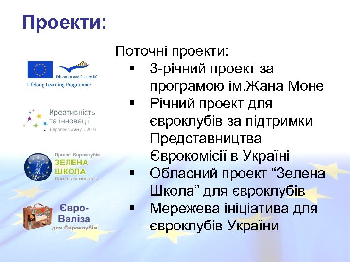 Проекти: Поточні проекти: § 3 -річний проект за програмою ім. Жана Моне § Річний