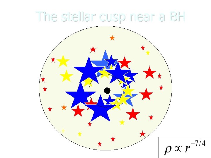 The stellar cusp near a BH 