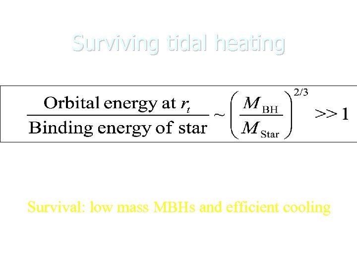 Surviving tidal heating Squeezars in Galactic Centers are transient sources Survival: low mass MBHs