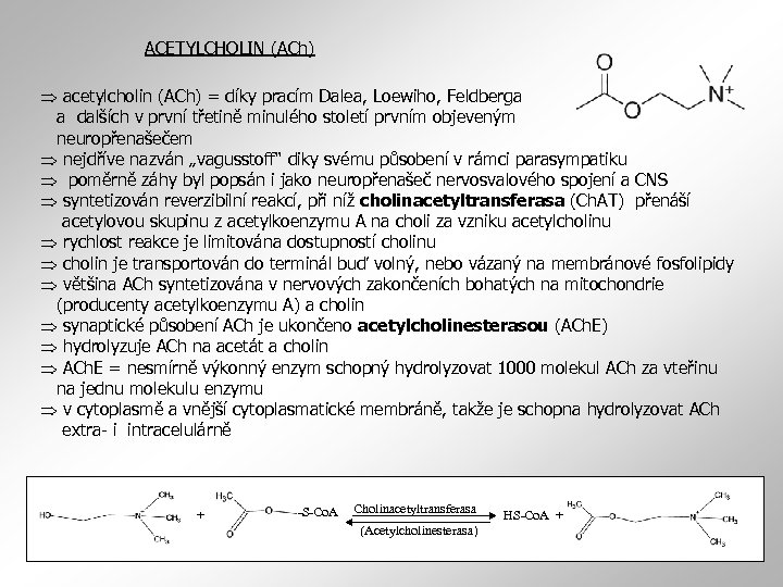 ACETYLCHOLIN (ACh) acetylcholin (ACh) = díky pracím Dalea, Loewiho, Feldberga a dalších v první