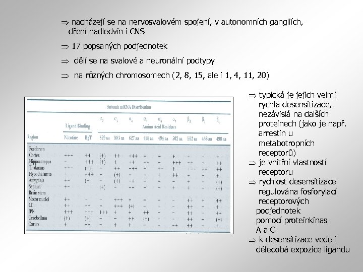  nacházejí se na nervosvalovém spojení, v autonomních gangliích, dření nadledvin i CNS 17