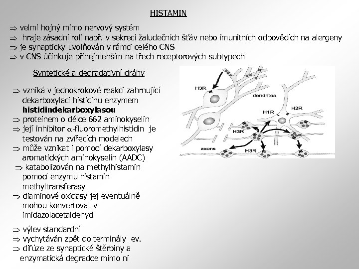 HISTAMIN velmi hojný mimo nervový systém hraje zásadní roli např. v sekreci žaludečních šťáv
