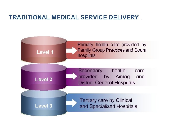 TRADITIONAL MEDICAL SERVICE DELIVERY Level 1 Level 2 Level 3 . Primary health care
