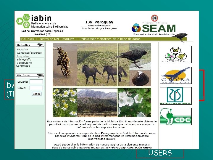 Country Information System DATABASE ADMINISTRATOR DATA PROVIDERS (INTRANET) DATABASE INFORMATION ON-LINE USERS 
