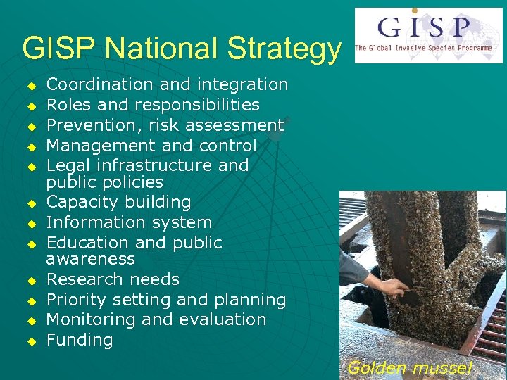 GISP National Strategy u u u Coordination and integration Roles and responsibilities Prevention, risk