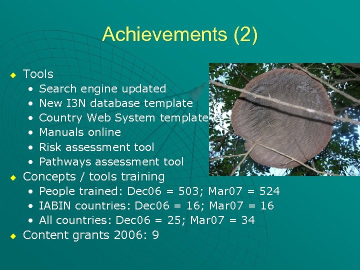 Achievements (2) u u u Tools • Search engine updated • New I 3