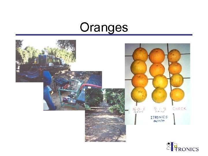 Oranges 