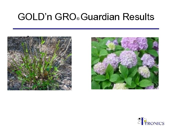 GOLD’n GRO Guardian Results ® 