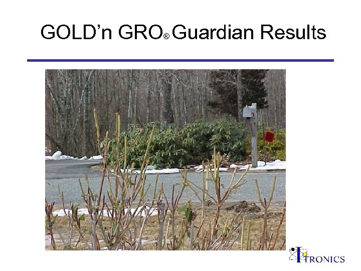 GOLD’n GRO Guardian Results ® 