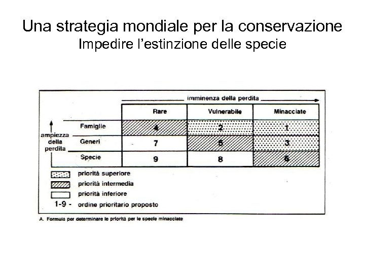 Una strategia mondiale per la conservazione Impedire l’estinzione delle specie 