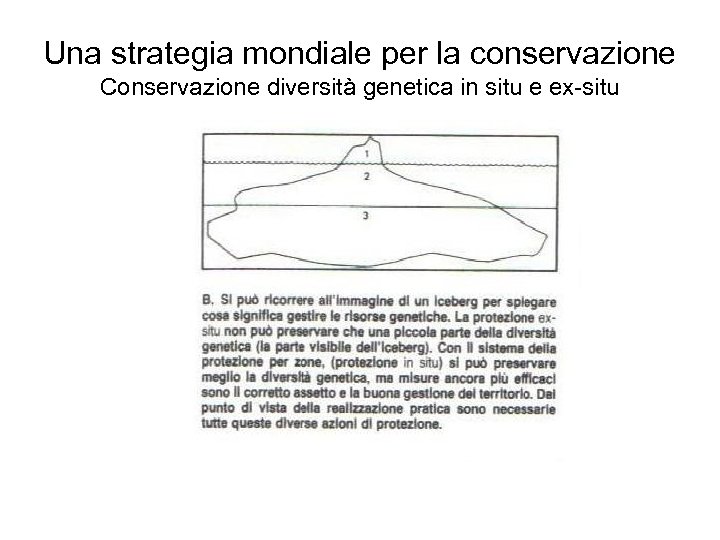 Una strategia mondiale per la conservazione Conservazione diversità genetica in situ e ex-situ 