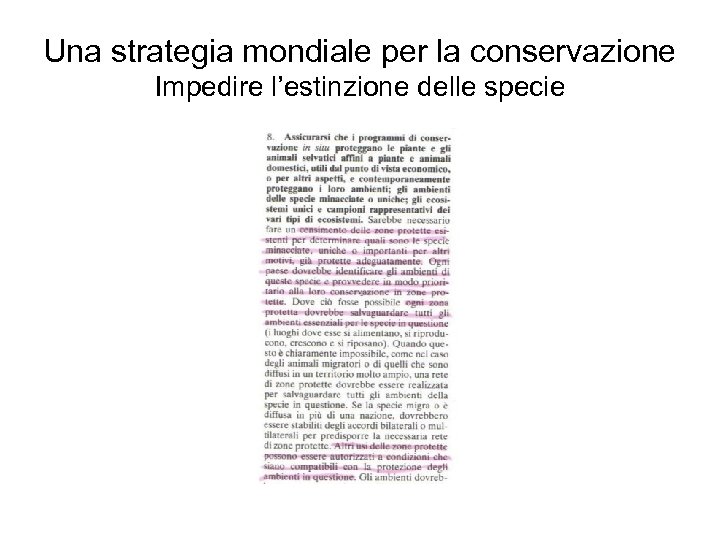 Una strategia mondiale per la conservazione Impedire l’estinzione delle specie 