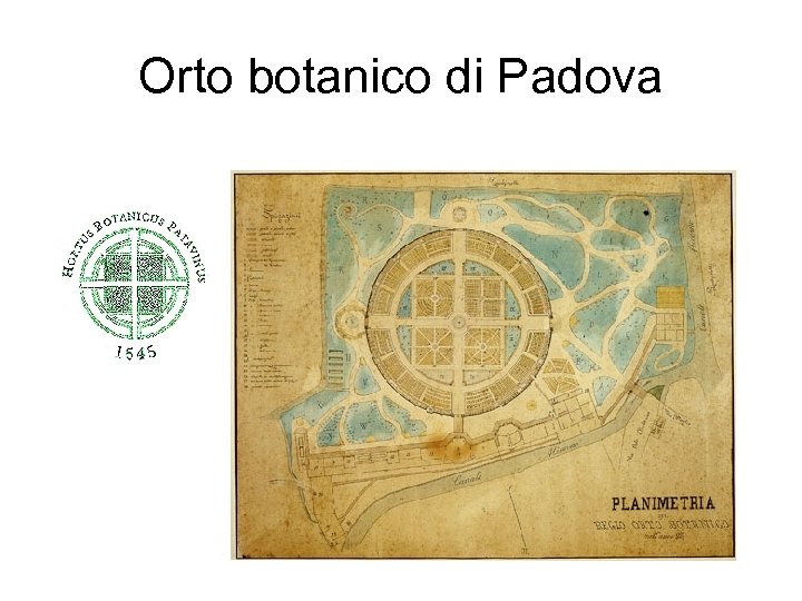 Orto botanico di Padova 