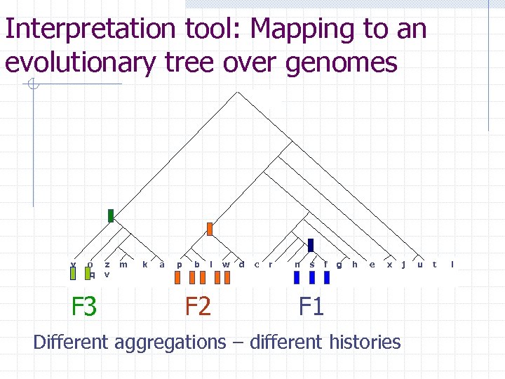 Interpretation tool: Mapping to an evolutionary tree over genomes y o q F 3