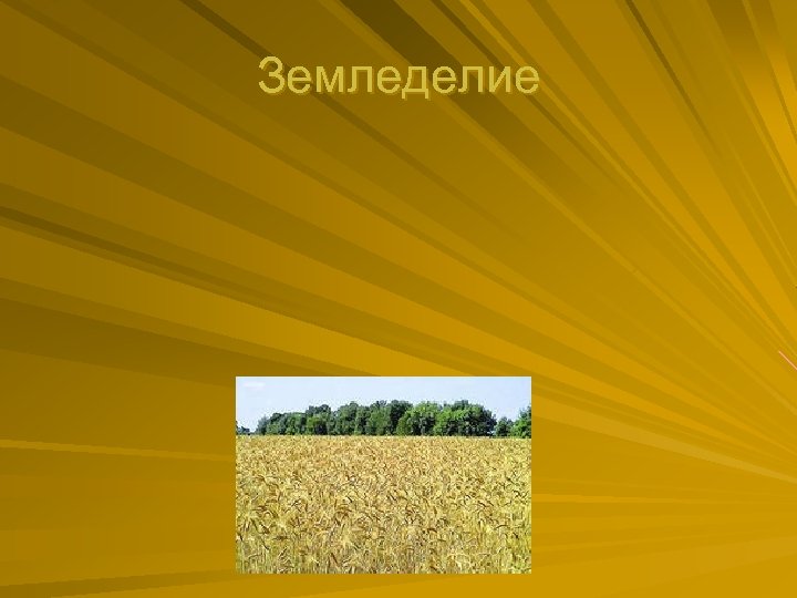 Земледелие 