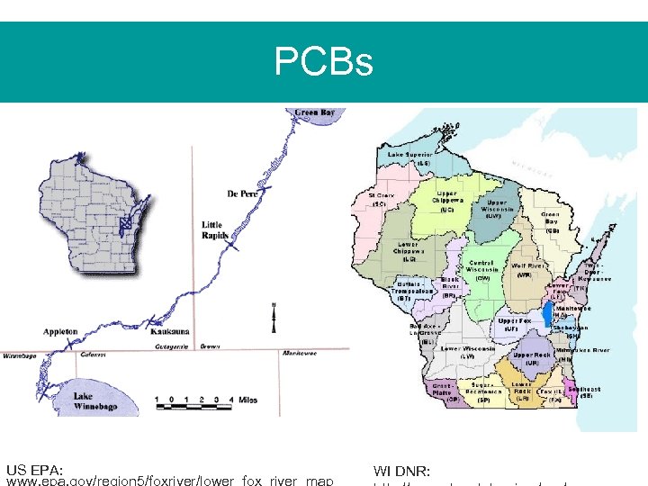 PCBs US EPA: www. epa. gov/region 5/foxriver/lower_fox_river_map WI DNR: 