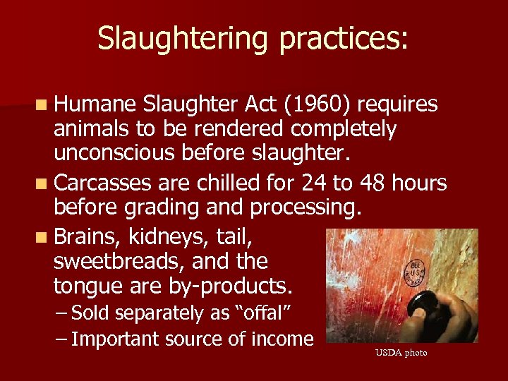 Slaughtering practices: n Humane Slaughter Act (1960) requires animals to be rendered completely unconscious