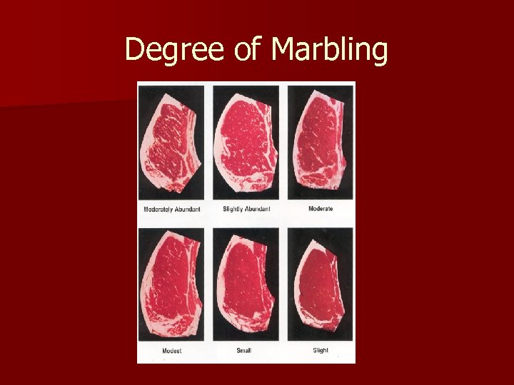 Degree of Marbling 