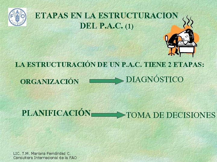 ETAPAS EN LA ESTRUCTURACION DEL P. A. C. (1) LA ESTRUCTURACIÓN DE UN P.