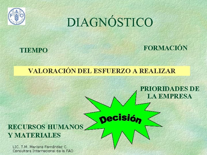 DIAGNÓSTICO TIEMPO FORMACIÓN VALORACIÓN DEL ESFUERZO A REALIZAR PRIORIDADES DE LA EMPRESA RECURSOS HUMANOS