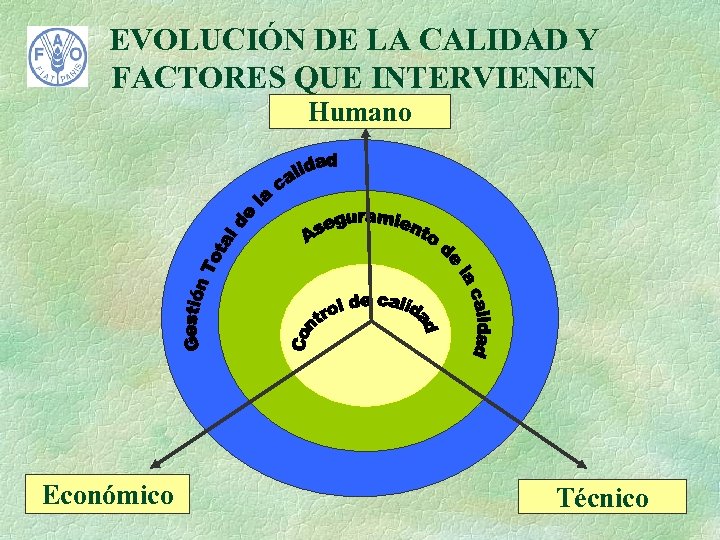 EVOLUCIÓN DE LA CALIDAD Y FACTORES QUE INTERVIENEN Humano Económico Técnico 