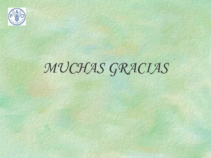 MUCHAS GRACIAS 