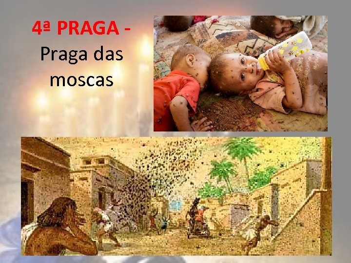 4ª PRAGA - Praga das moscas 