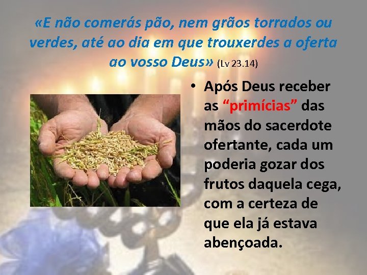  «E não comerás pão, nem grãos torrados ou verdes, até ao dia em