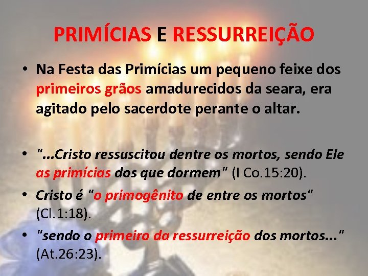 PRIMÍCIAS E RESSURREIÇÃO • Na Festa das Primícias um pequeno feixe dos primeiros grãos