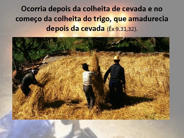 Ocorria depois da colheita de cevada e no começo da colheita do trigo, que