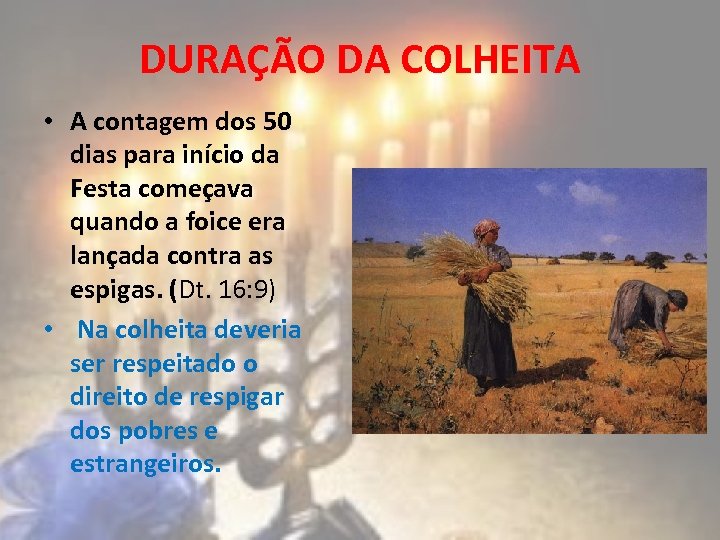 DURAÇÃO DA COLHEITA • A contagem dos 50 dias para início da Festa começava
