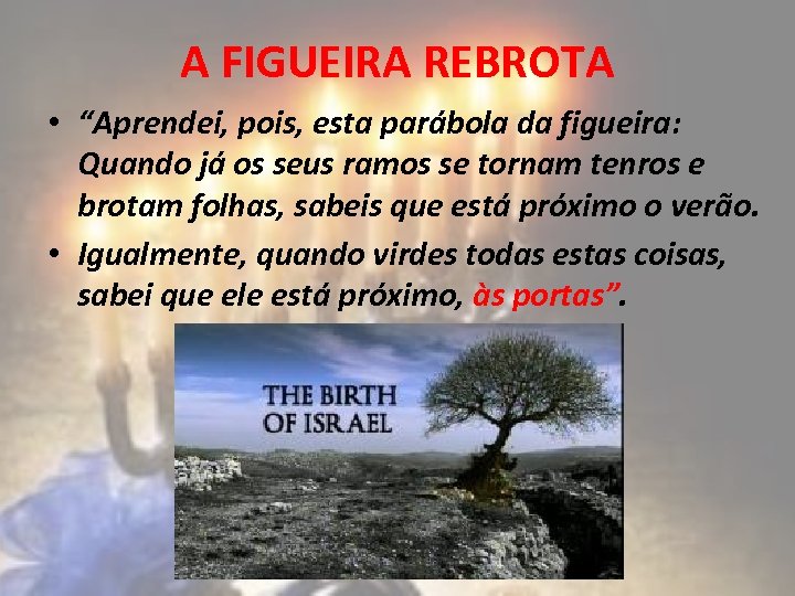 A FIGUEIRA REBROTA • “Aprendei, pois, esta parábola da figueira: Quando já os seus