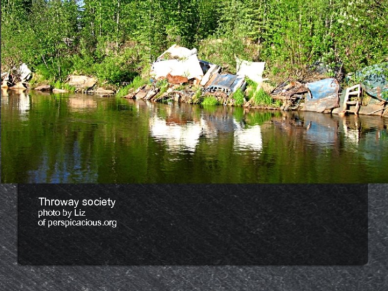 Throway society photo by Liz of perspicacious. org 