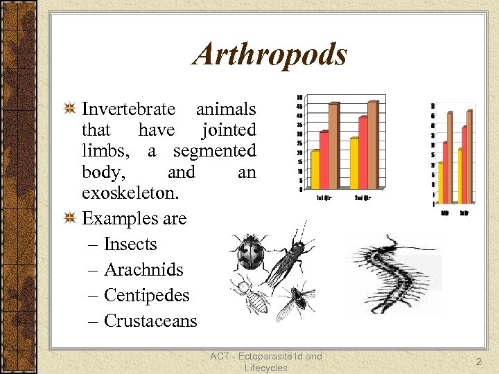 ACT — Ectoparasite Id and Lifecycles 1