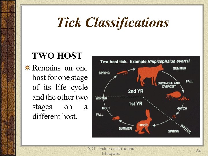 Tick Classifications TWO HOST Remains on one host for one stage of its life