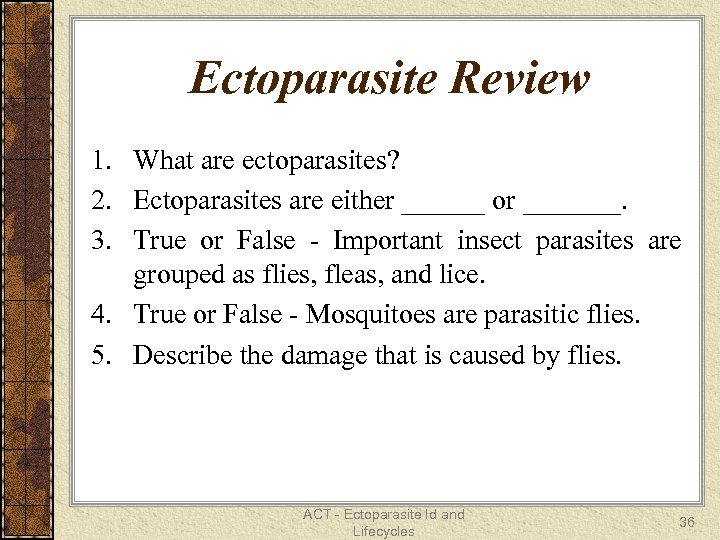 Ectoparasite Review 1. What are ectoparasites? 2. Ectoparasites are either ______ or _______. 3.