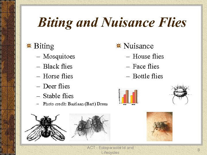 Biting and Nuisance Flies Biting – – – Nuisance – House flies – Face