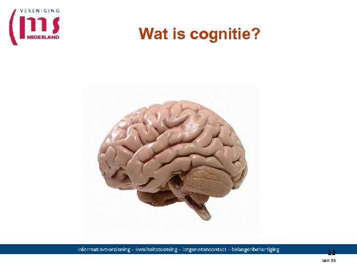 Wat is cognitie? 13 van 33 