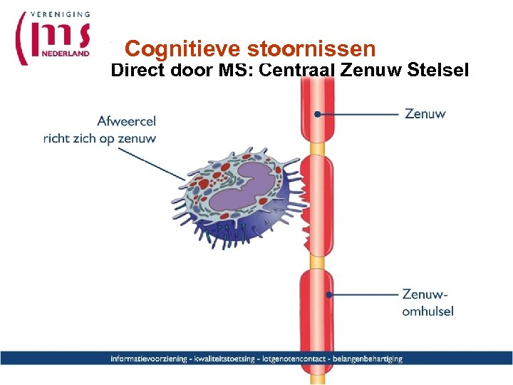 Cognitieve stoornissen Direct door MS: Centraal Zenuw Stelsel 