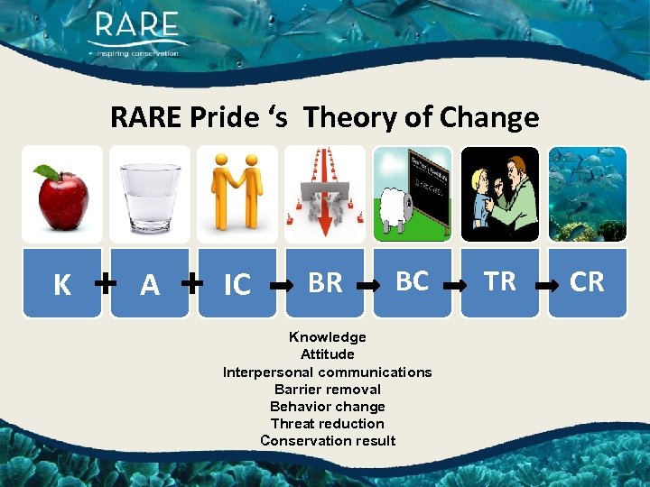 RARE Pride ‘s Theory of Change K + A + IC BR BC Knowledge